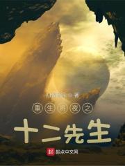 将夜之我是十二先生