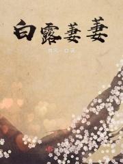 蒹葭萋萋白露未晞读音