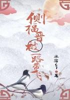 侧福晋又有喜了