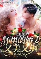 秦爷怀里的娇妻事大佬