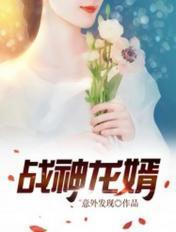 战神龙婿在线阅读