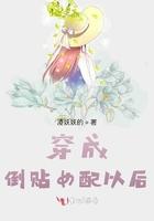 穿成倒霉蛋女配书穿