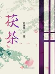 茯茶可以煮着喝吗