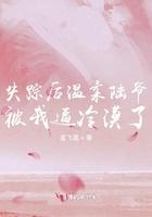 失踪之后by凉雾续