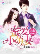蜜爱小萌妻 大叔 stop