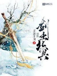 北冥剑气四象轮回