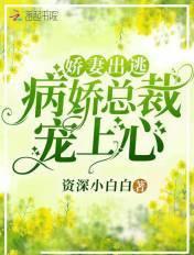 病娇总裁宠妻请蓝小西