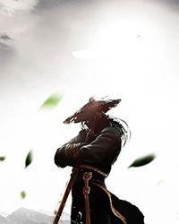 逆天武尊云剑