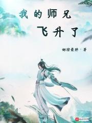 我师兄实在太稳健了飞升是什么境界