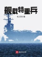 舰载特重兵TXT百度资源
