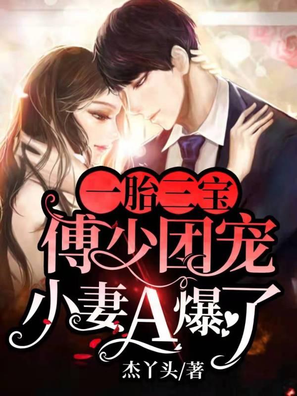一胎双宝傅少宠超给力全文免费