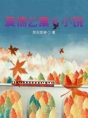 爱情公寓版