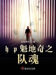 hp魁地奇王子