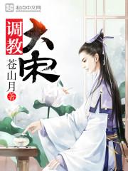 调教大宋 第406章