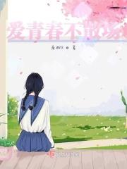 歌词 青春不散场
