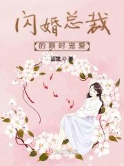 偏偏宠爱闪婚总裁契约妻
